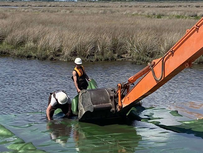 Shoreline Design Crew at work